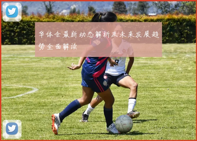 华体会最新动态解析及未来发展趋势全面解读