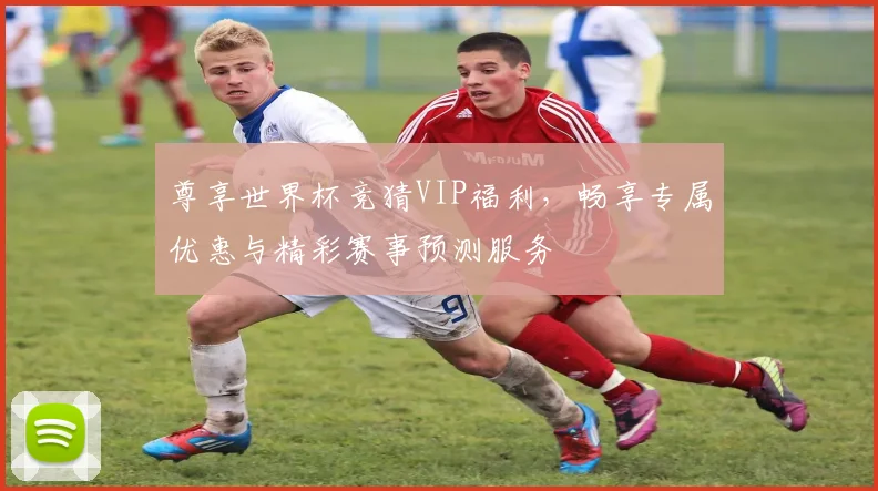 尊享世界杯竞猜VIP福利，畅享专属优惠与精彩赛事预测服务