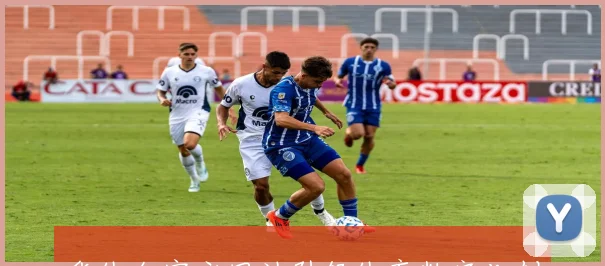 华体会官方网站引领体育数字化创新发展打造全球用户服务新体验平台