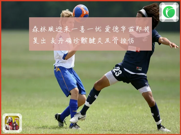 森林狼迎来一喜一忧 爱德华兹即将复出 麦丹确诊髌腱炎及骨挫伤