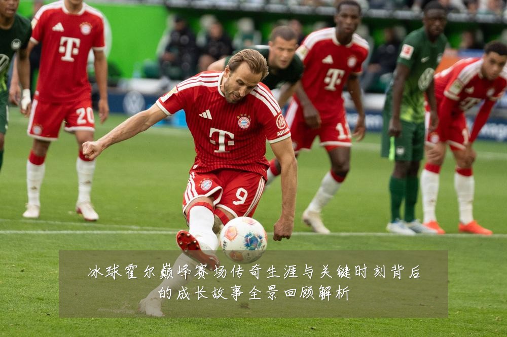 冰球霍尔巅峰赛场传奇生涯与关键时刻背后的成长故事全景回顾解析