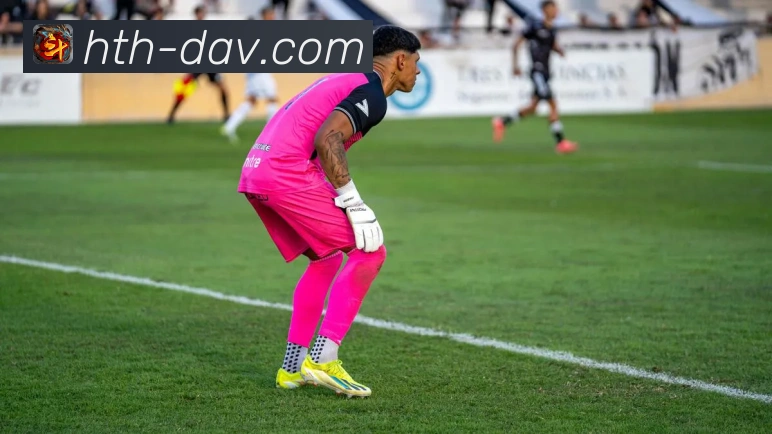 华体会平台展示图